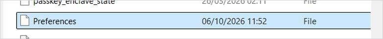 Berkas bernama Preferences di dalam folder konfigurasi Microsoft Edge
